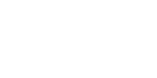 IVECO IVECO
